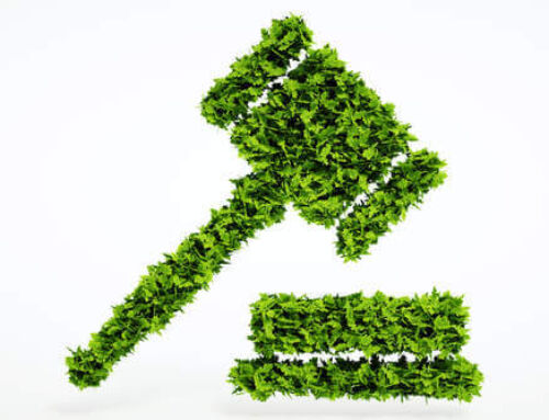 Developing a Legal Framework for Carbon Credit Trading in Vietnam: Challenges and Opportunities